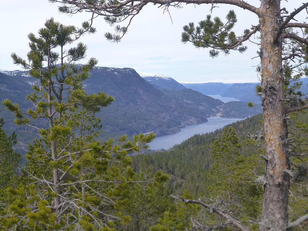 Utsikt mot Tinnsjøen nordover