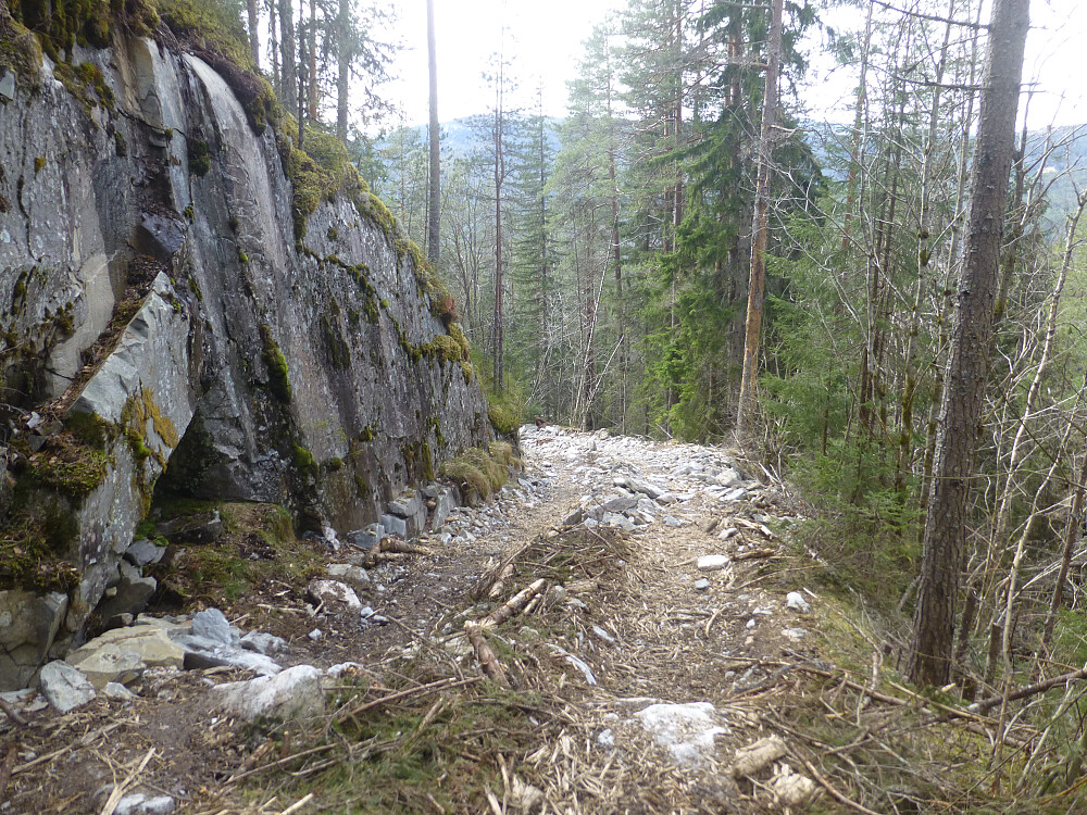 Traktorveg herpa av skogsmasiner og vann