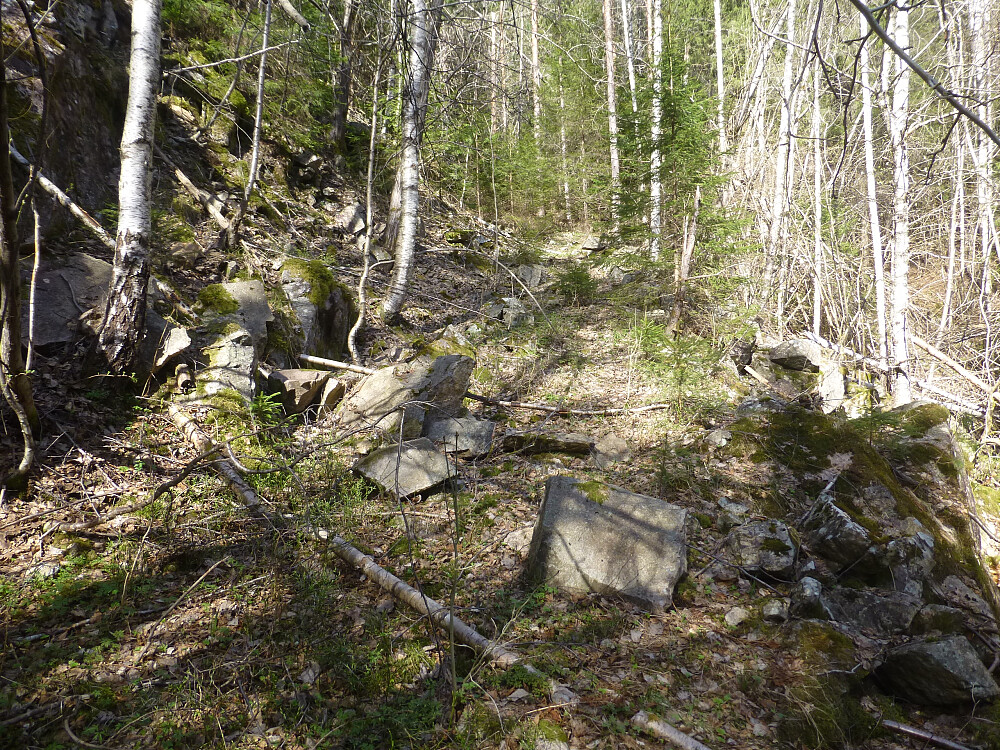 Traktorvegen oppover