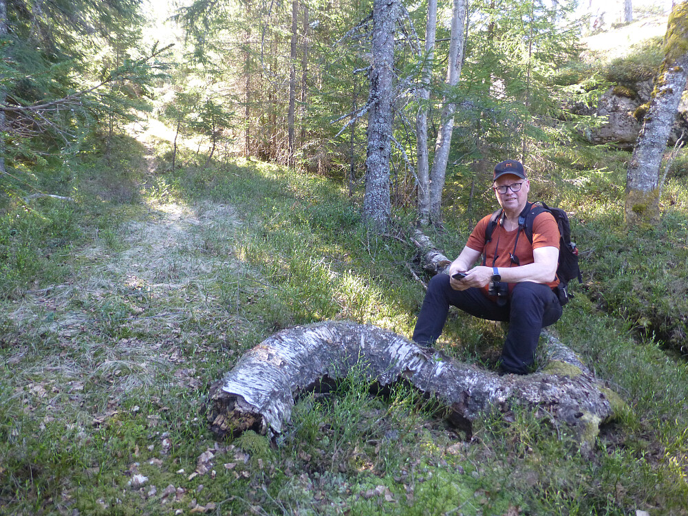 Rast i bakken. Det ble det mange av i dag.