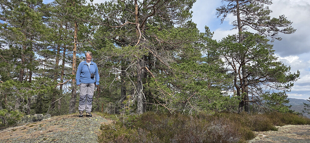 Toppen av Valefjell