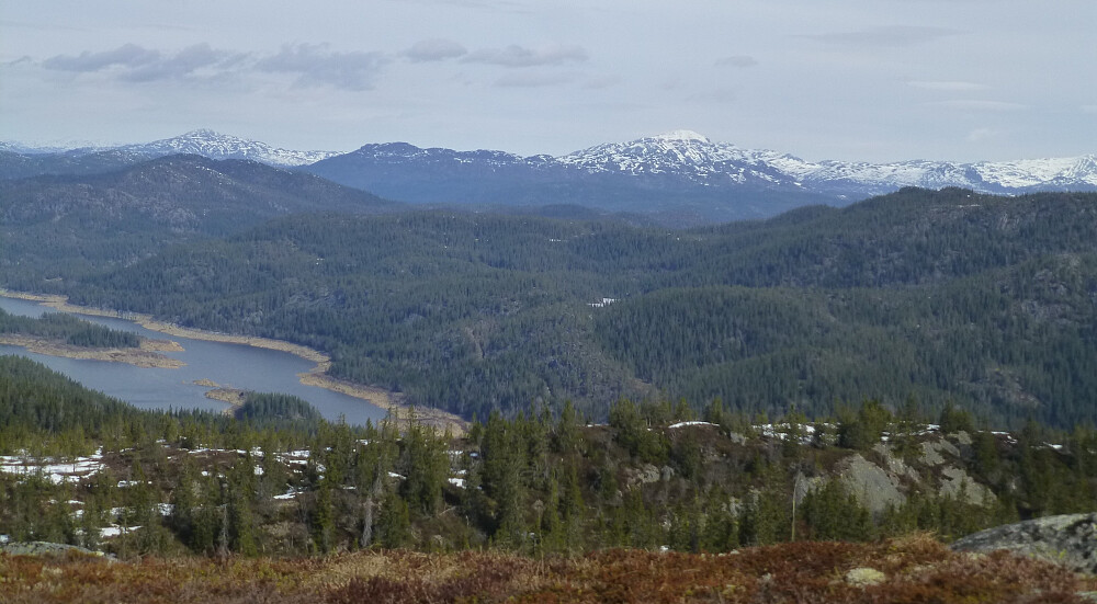 Brattefjell, Robekknuten  ses i bakgrunn. Vindeggen ligger til høyre for bildet