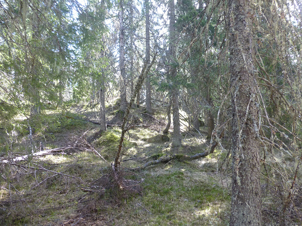 Slik ser Sjåberg ut i dag, ingen utsikt