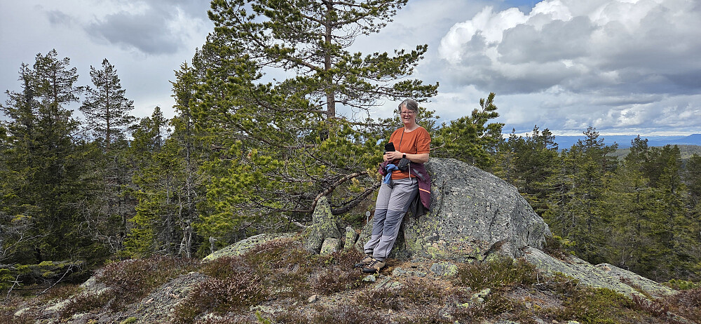 Toppen ved fylkesmerket
