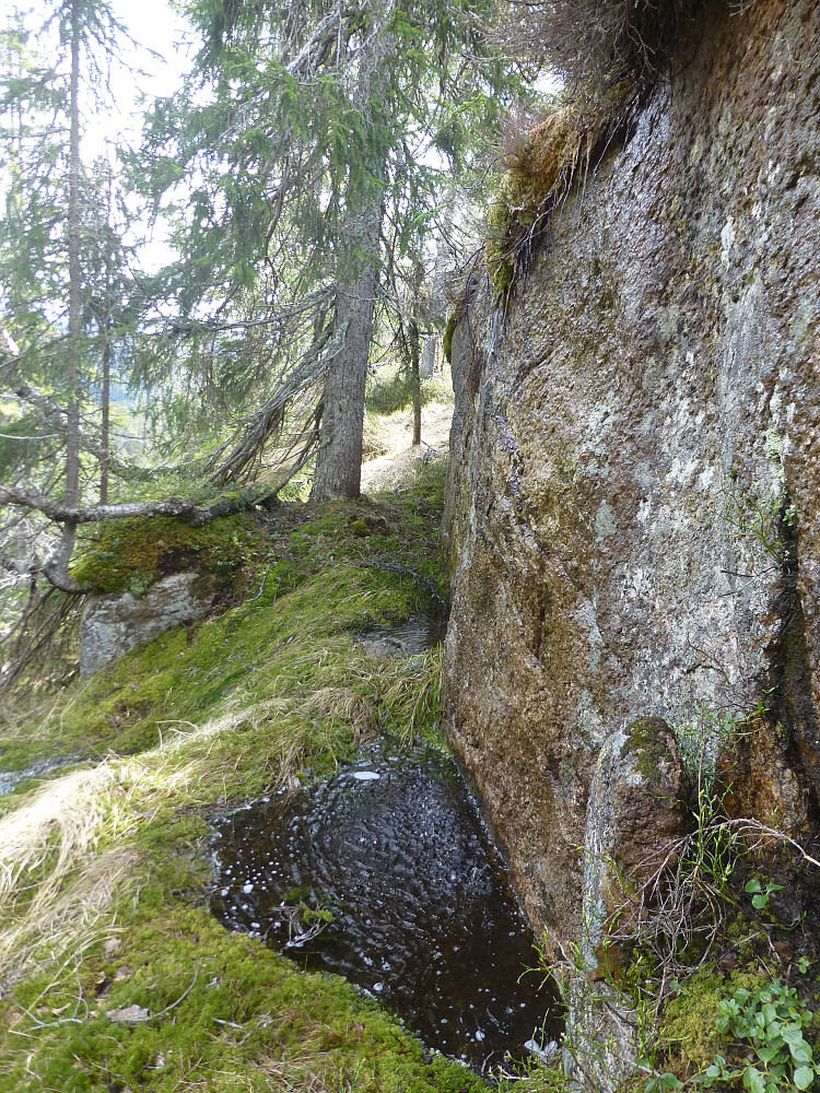 Spamosedusjen