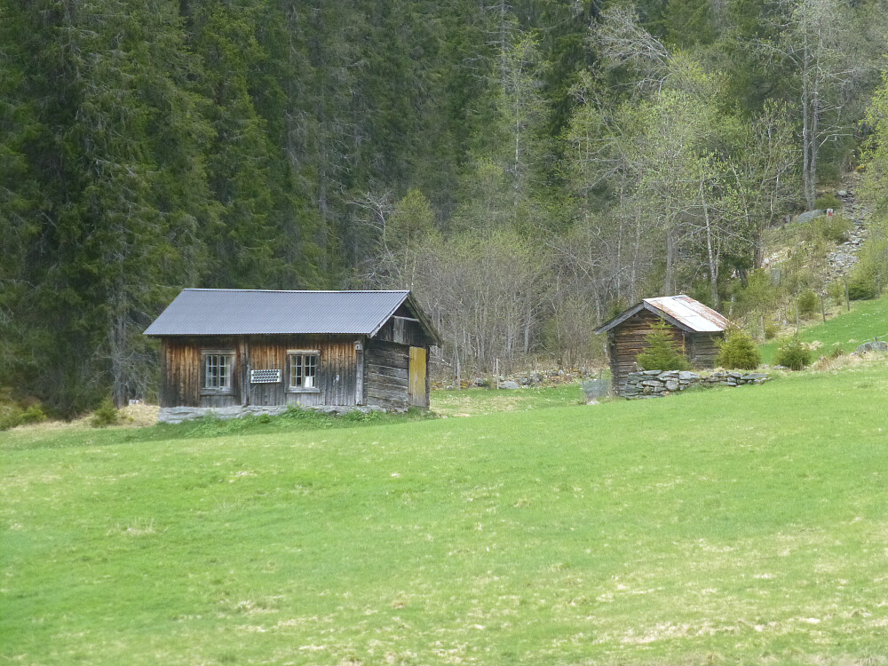 Tjurrgrånflaten