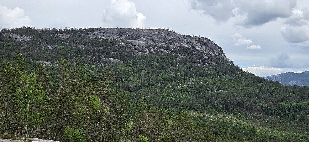 Lauvlundnuten sett fra veien