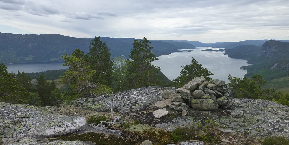 Toppvarden