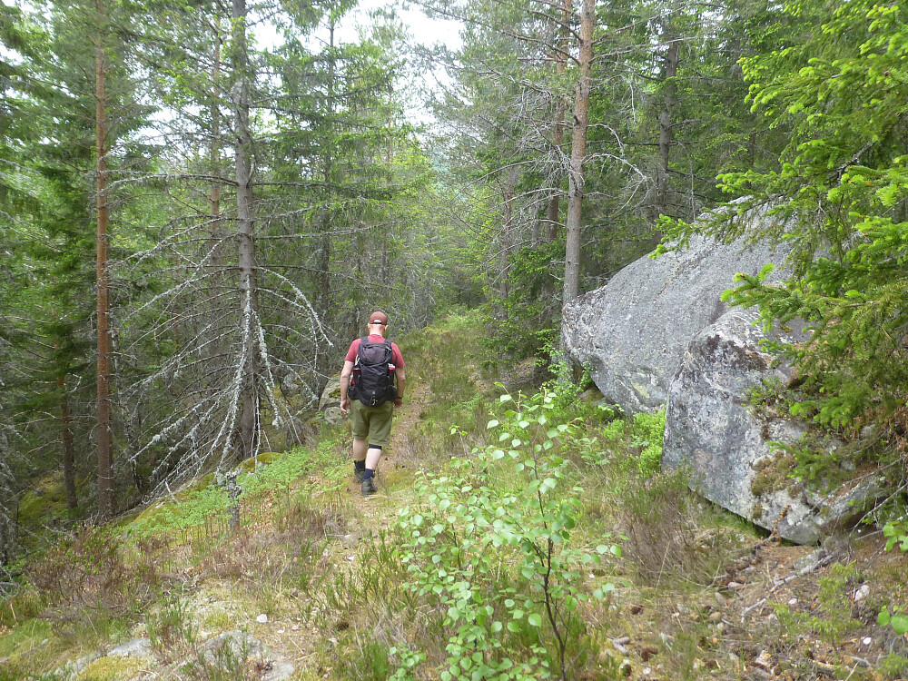 Fint å gå ned traktorvegen. Her har de ryddet.