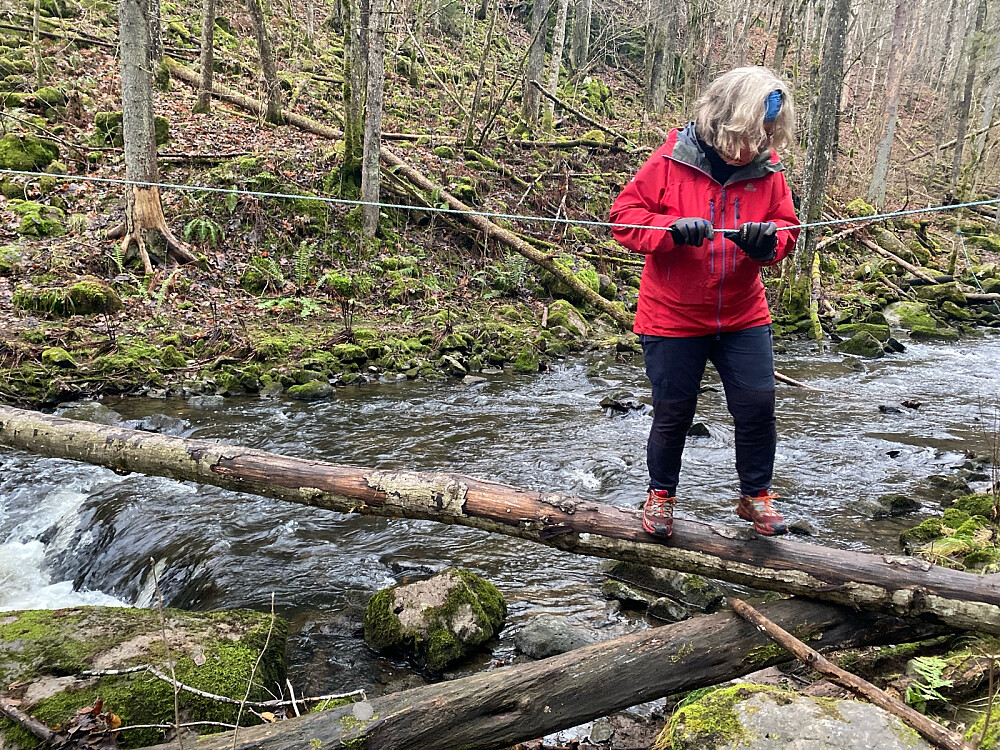 Kryssing av Stokkerelva