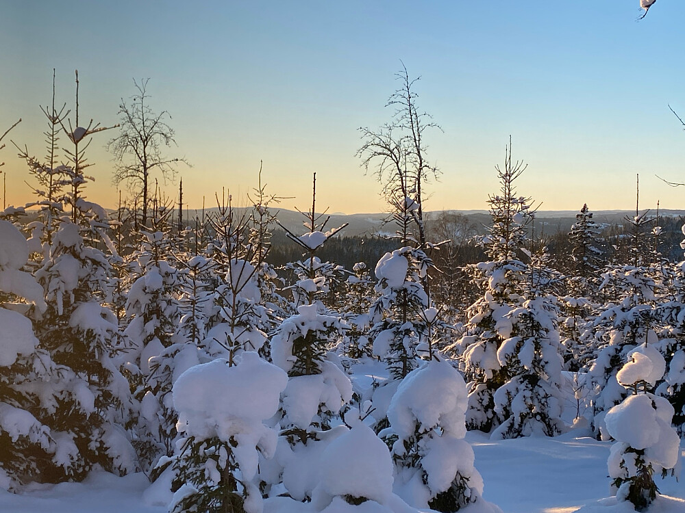 Gaustadtoppen i det fjerne