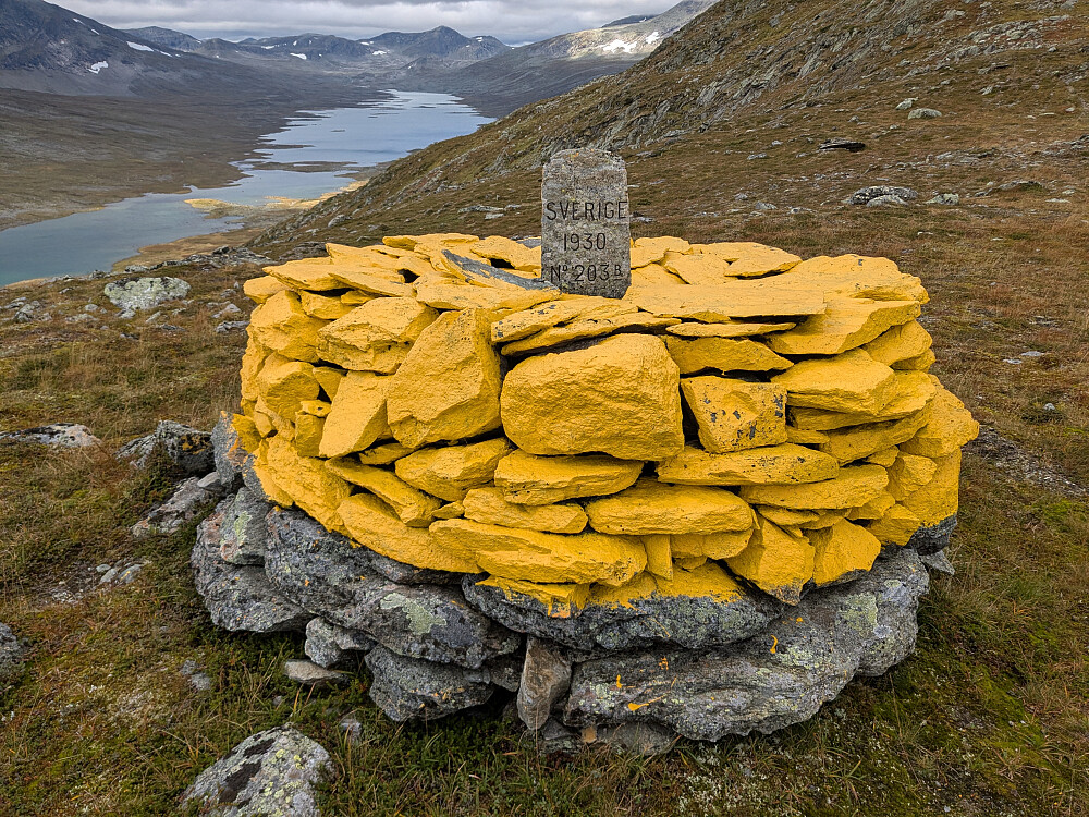 Riksrøys 203 B