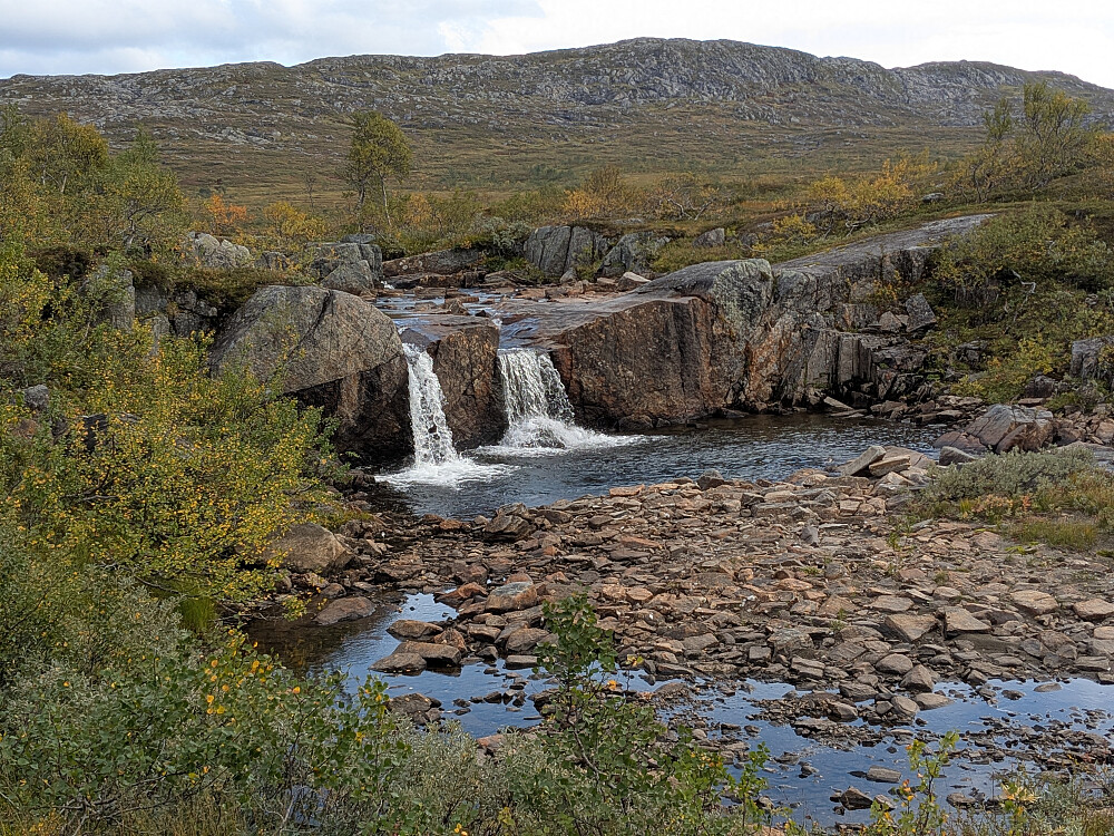 Kjeråa
