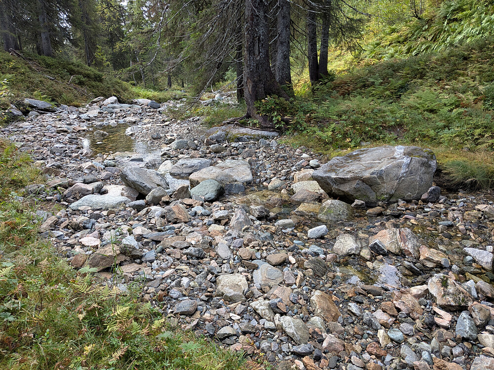 Lite vassføring i Sæterdalen