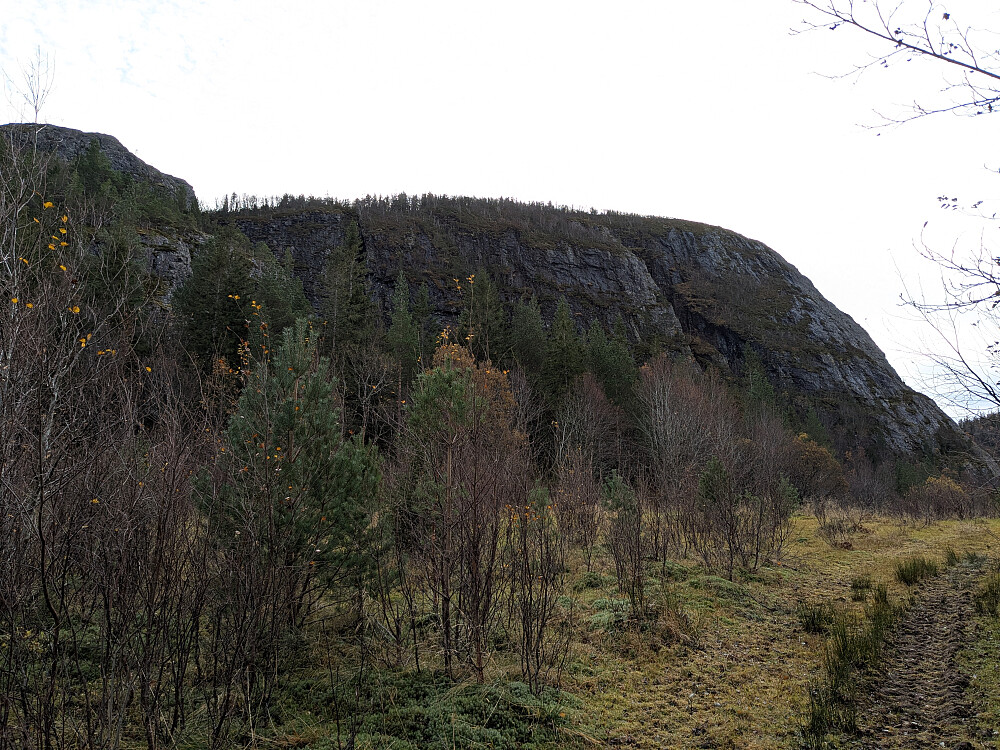 Bratte partier på Granfjellet