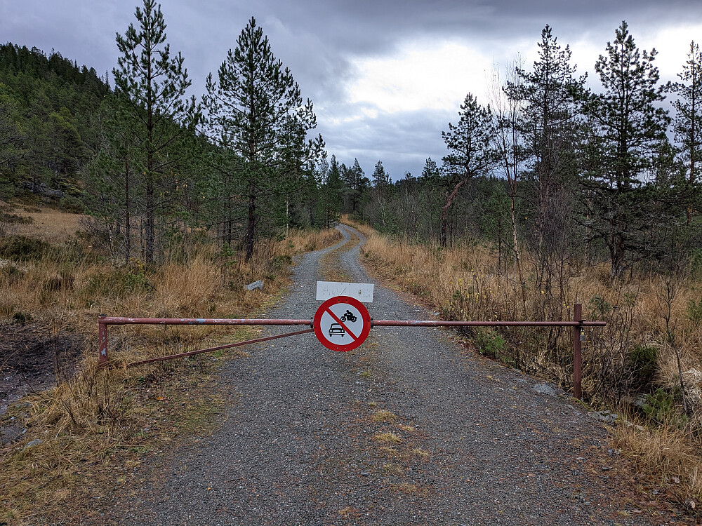 Flott vei å gå etter