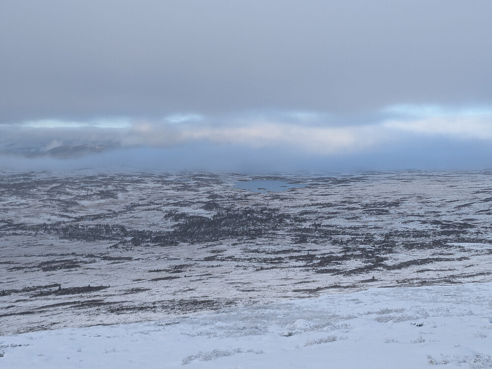 Utsikt mot Stortjønna
