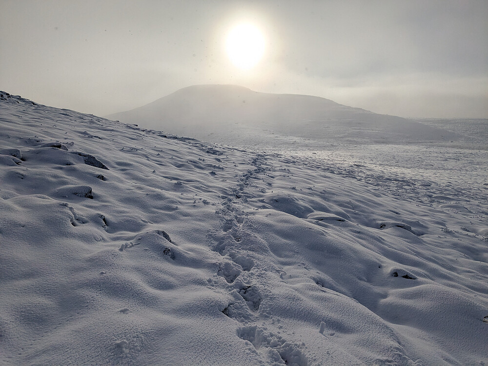 Søre Penningkeisa etter at sola kom