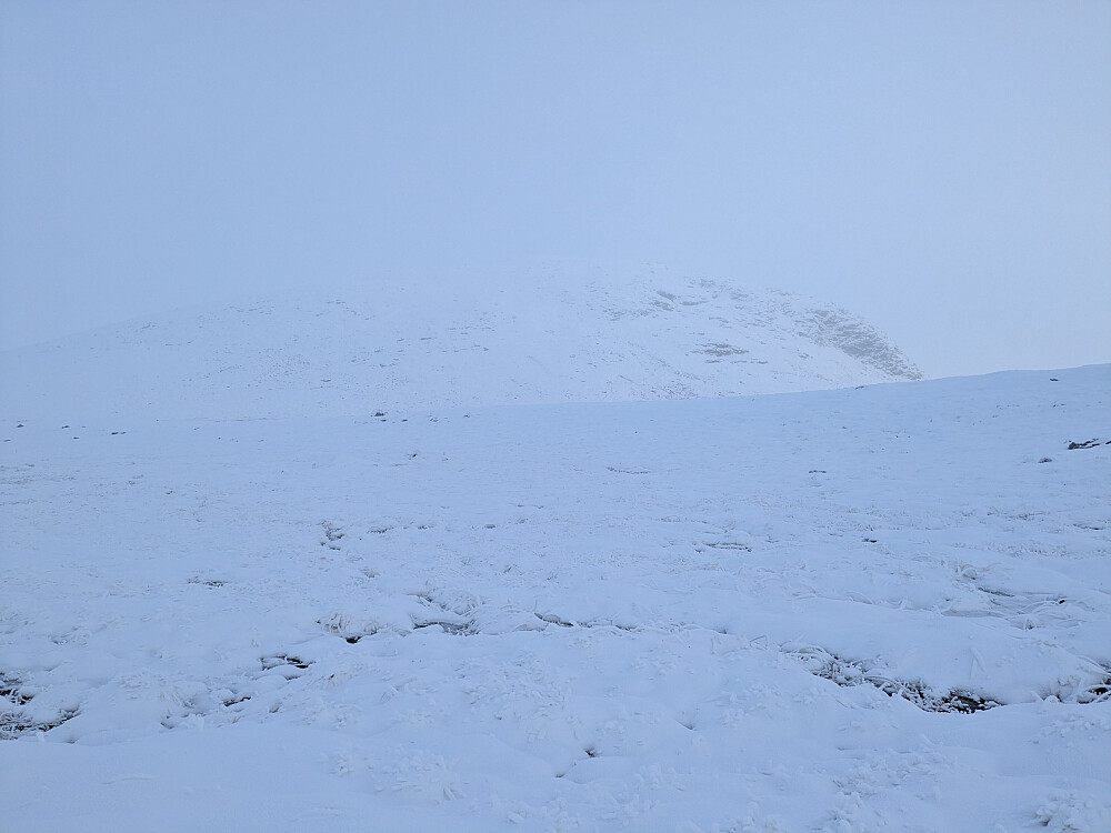 Her skimtes Penningkeisrøysa
