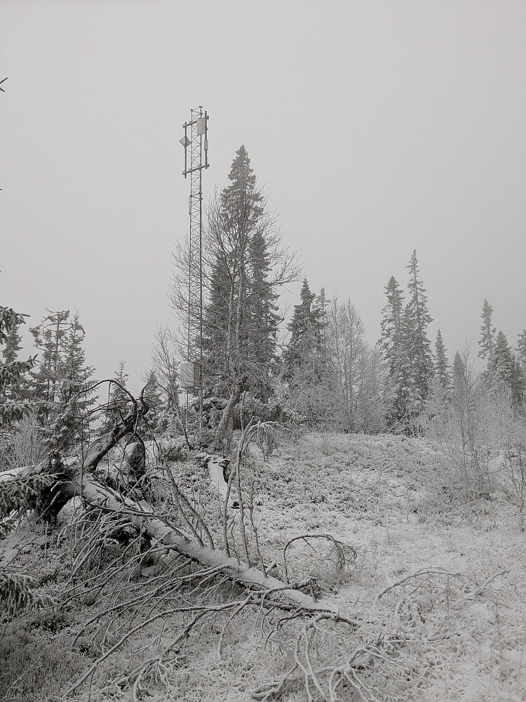 Passerte ei lita mast før stormasta