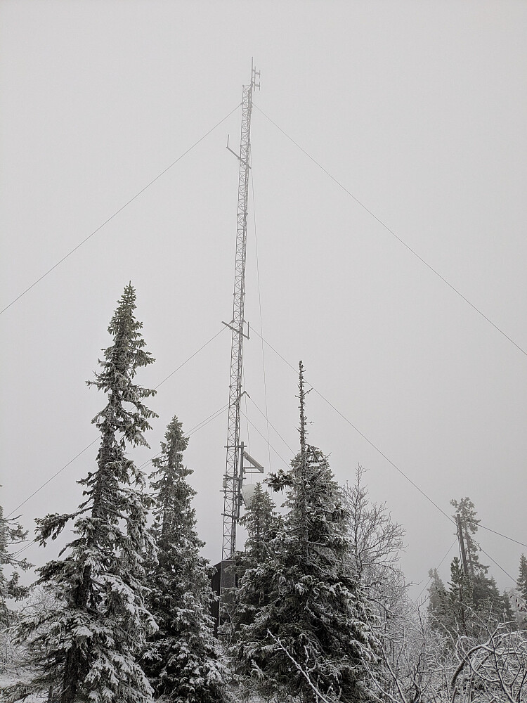 Stor mast med bygning i skogen