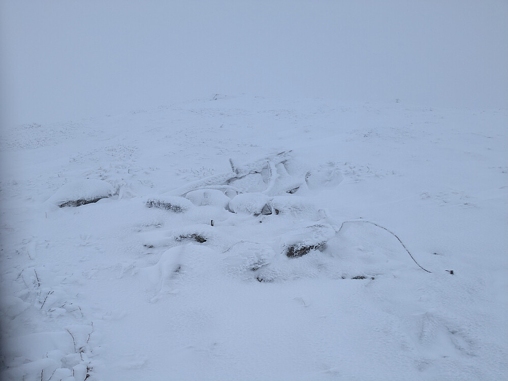 Et trigonometrisk punkt ved siden av varden på Gunnarfjellet