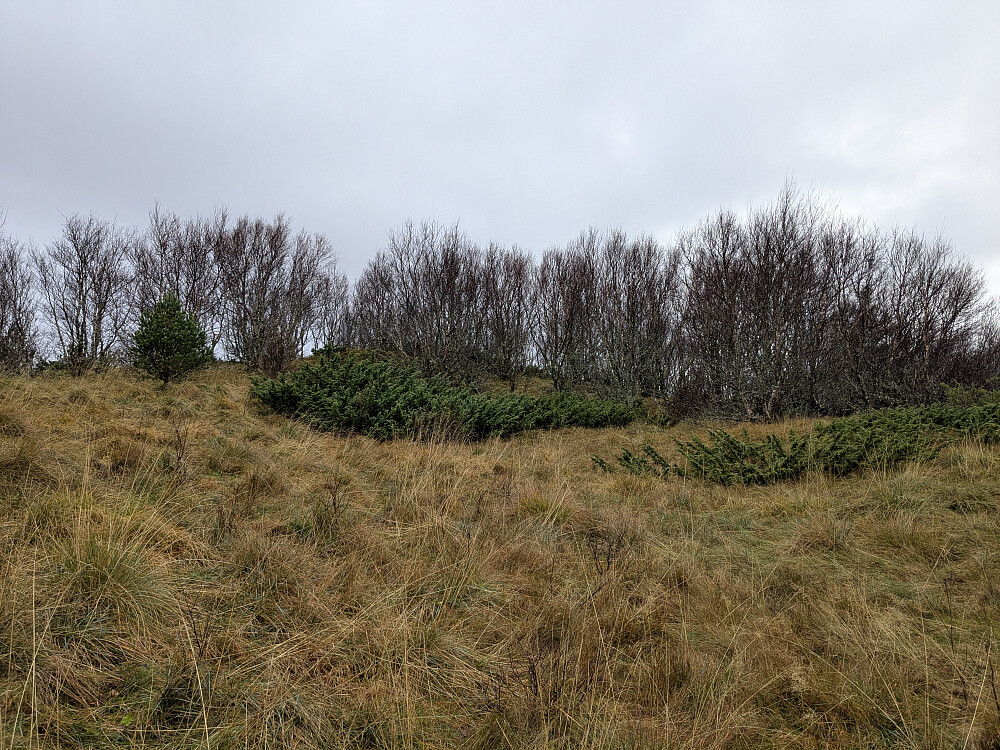 Snart på toppen av Vardåsen