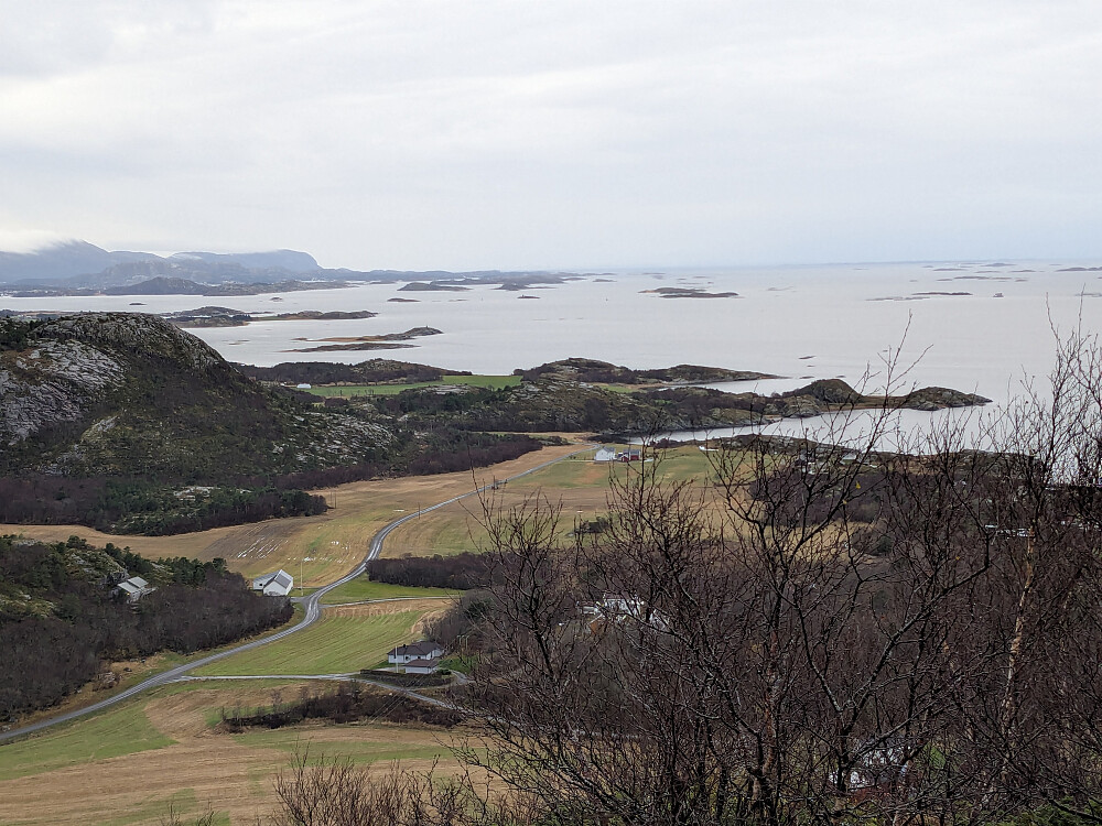 Utsikt mot Tårnes og Linesfjorden