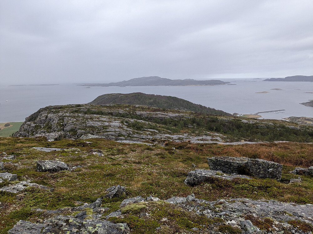 Utsikt mot Vardåsen og Linesøya