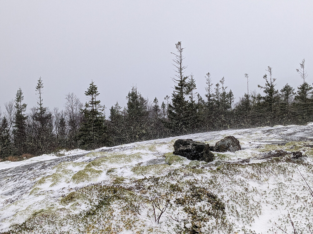 Toppstein på Vestfjellet