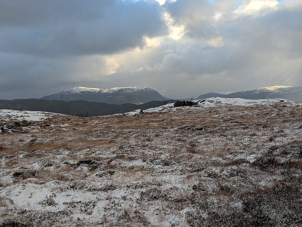 Myra nord for Svanhaugan