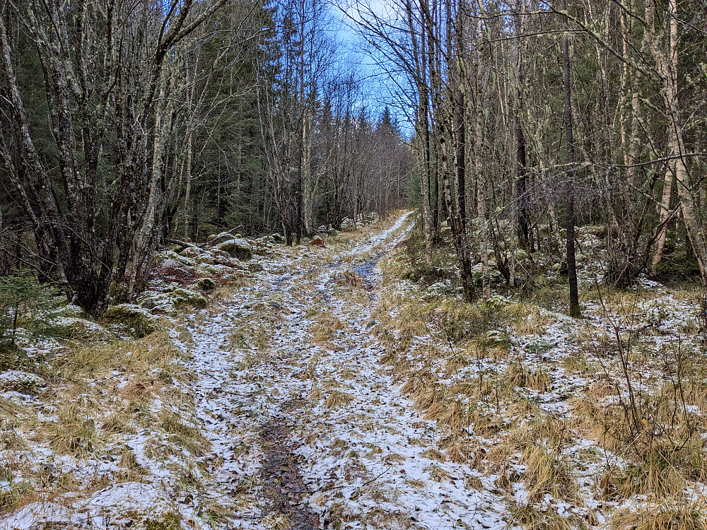Flott traktorvei ned mot Osplia