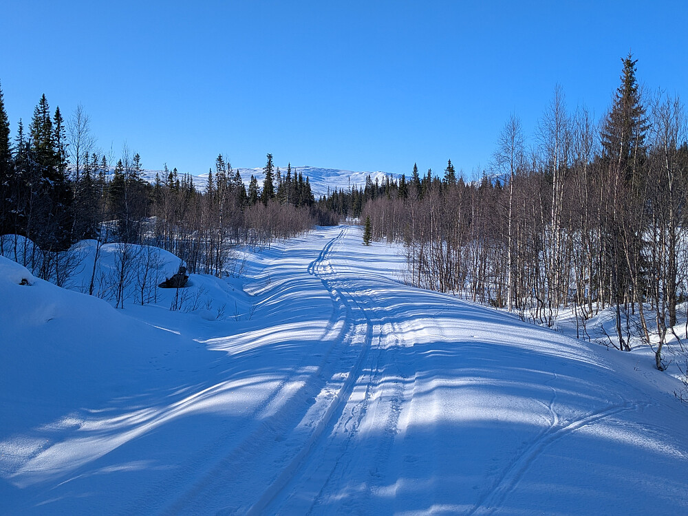 Holmtjønnveien med scooterspor