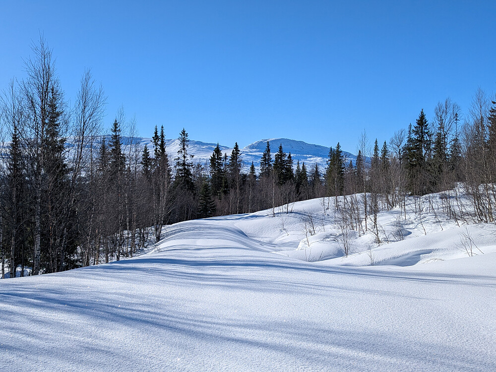 Holmtjønnveien videre uten spor
