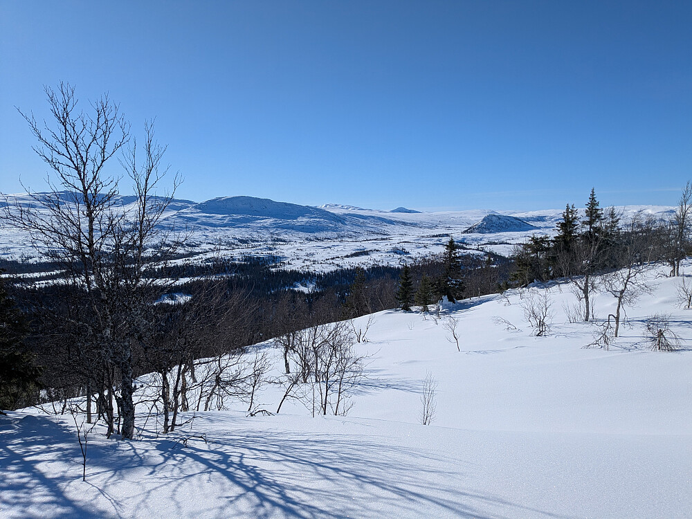 Utsikt fra oppstigningen