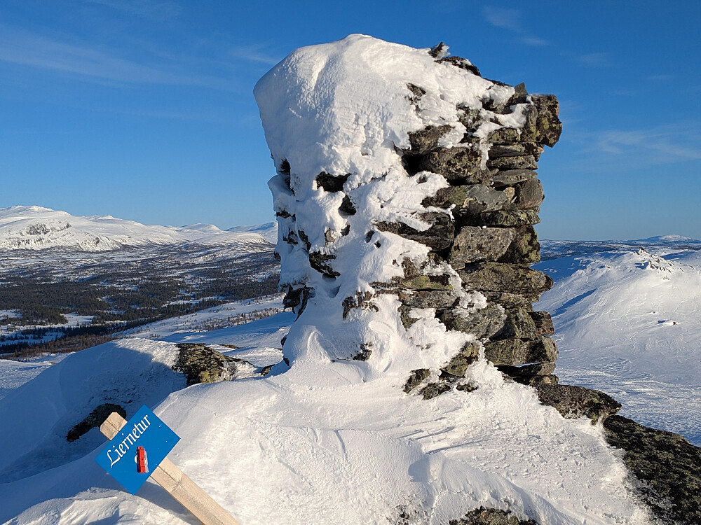 Varden med Liernetur på Løvsjøvola