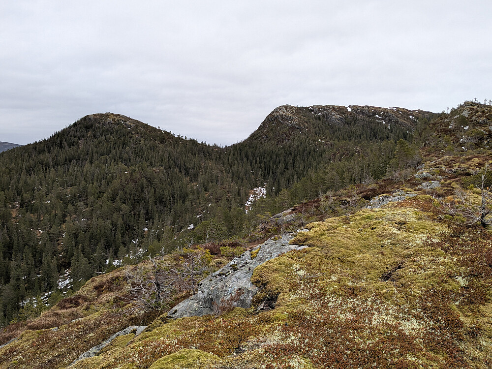 Rutskardfjellet til høyre