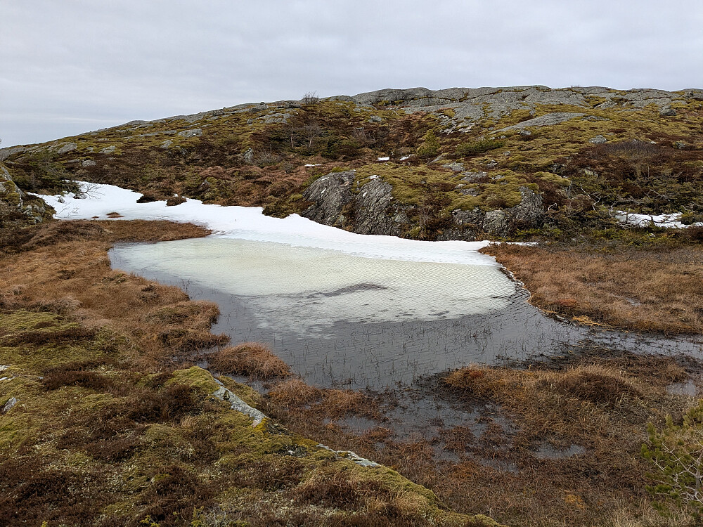 Ei lita tjønn før toppen av Rutskardfjellet