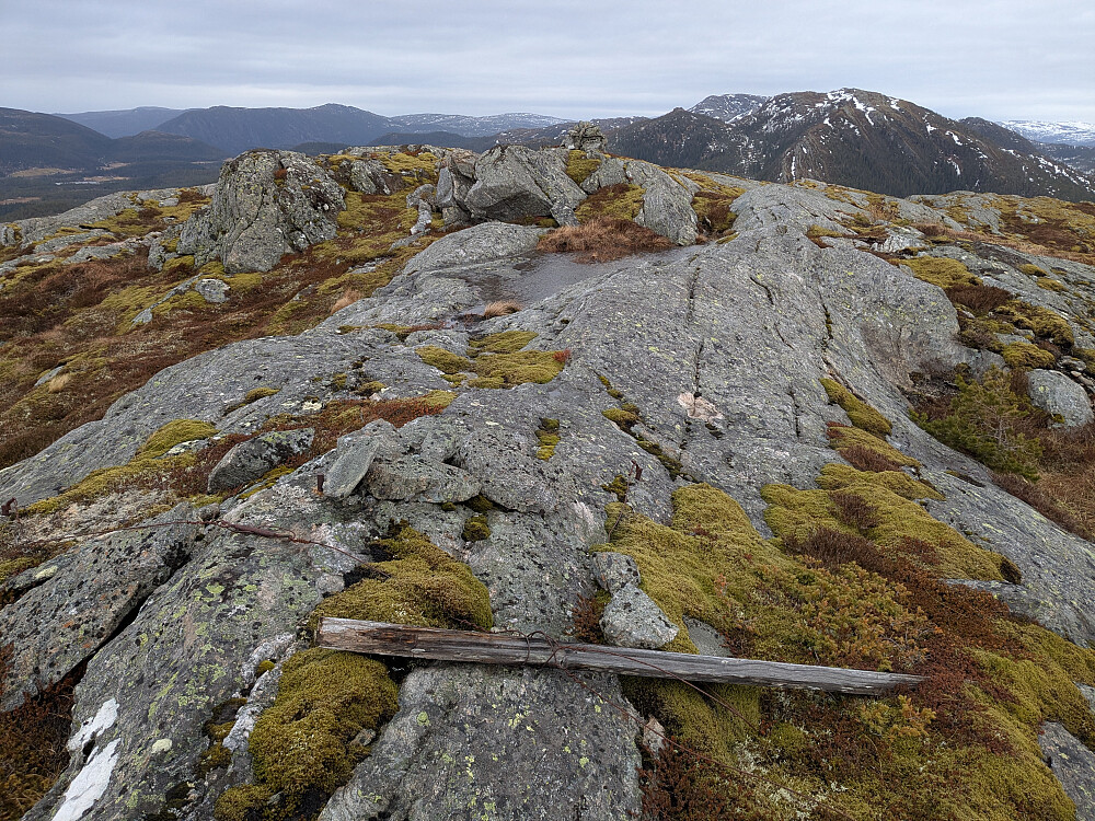 Trigpunktet på Rutskardfjellet