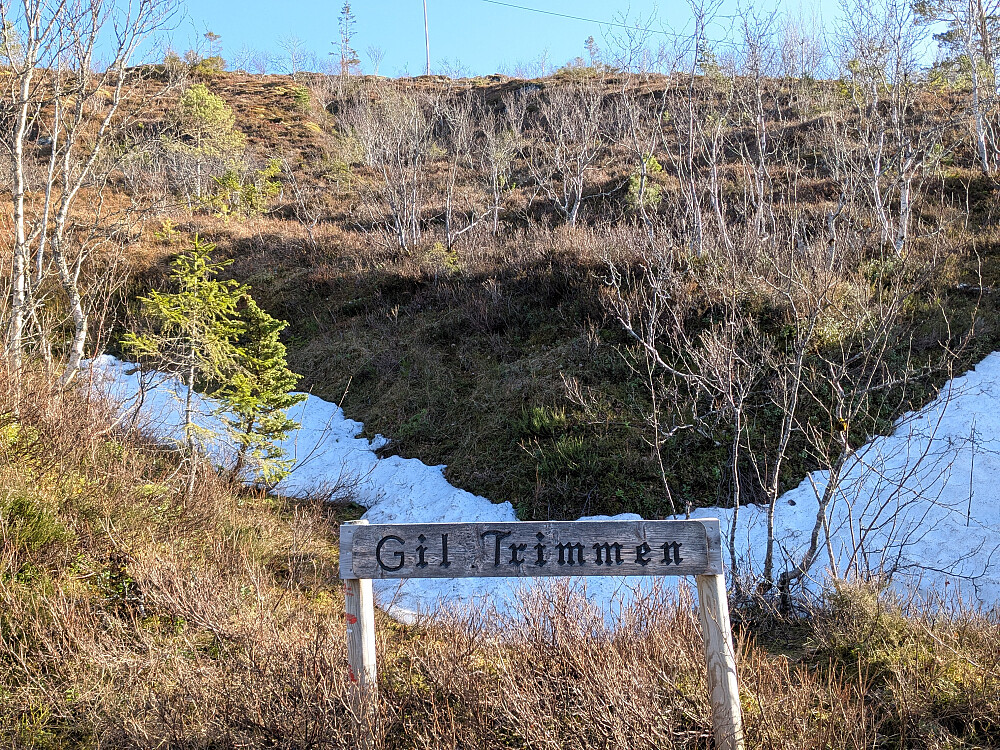 Stistart trimtur Gråmarka i.l