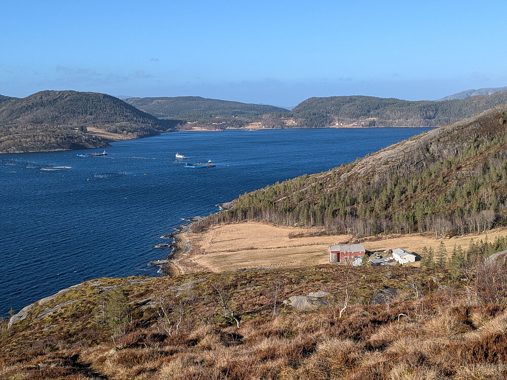 Utsikt mot Tømmervika og Eiterfjorden