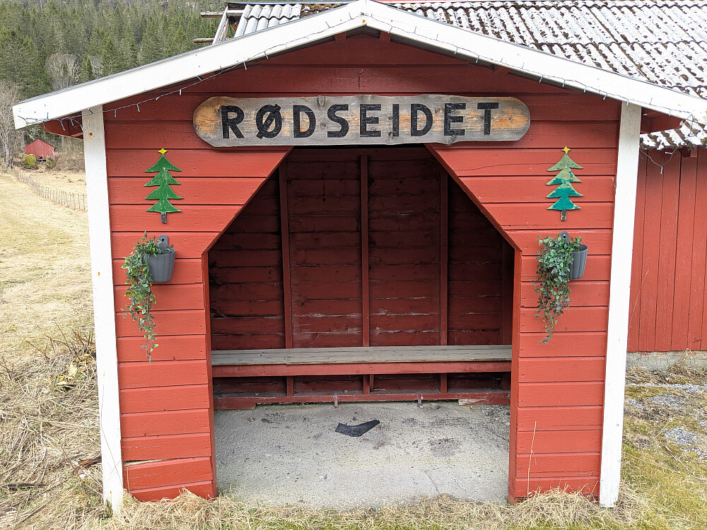 Turen startet på en skogsvei bak gårdene.