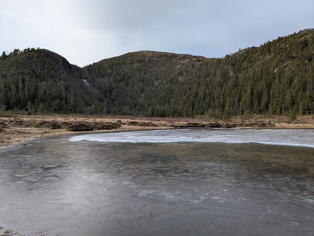 Urdmofjellet i midten. Tjønn 112 foran