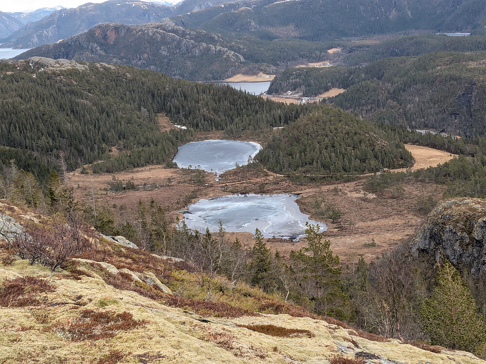 Torvhhaugtjønna og vann 112
