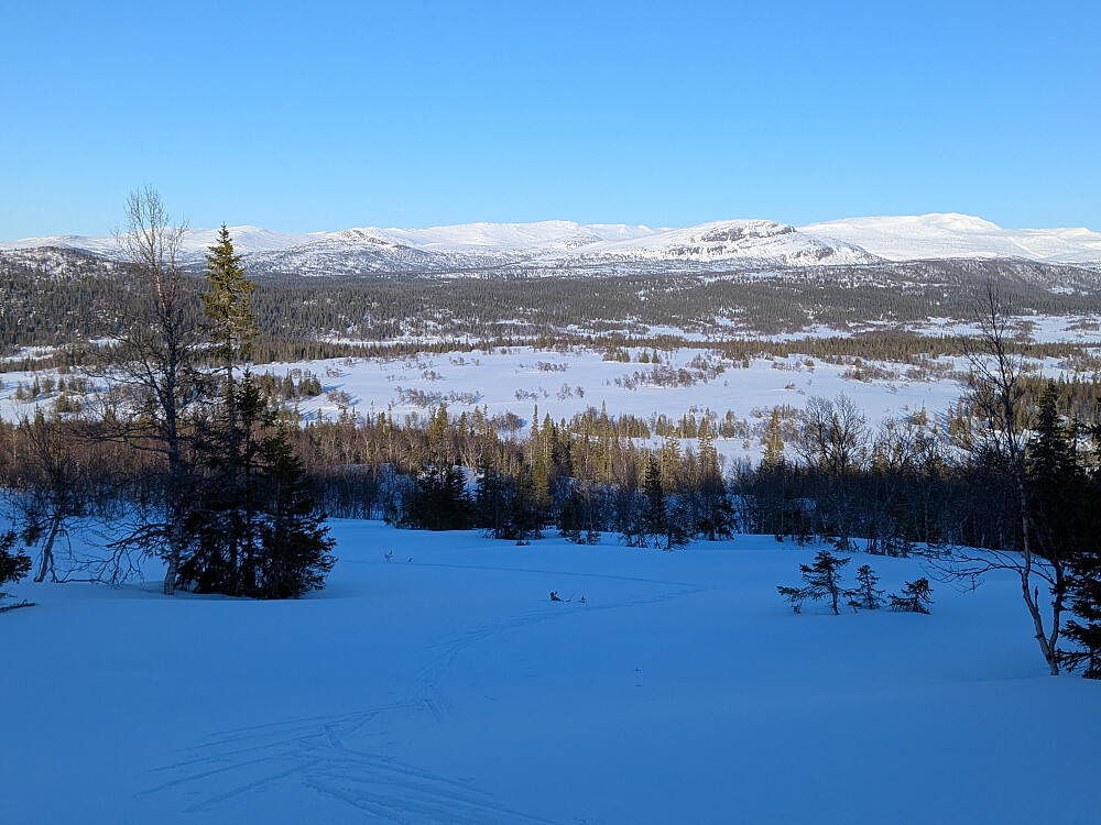 Utsikt fra Tortjønnklumpen