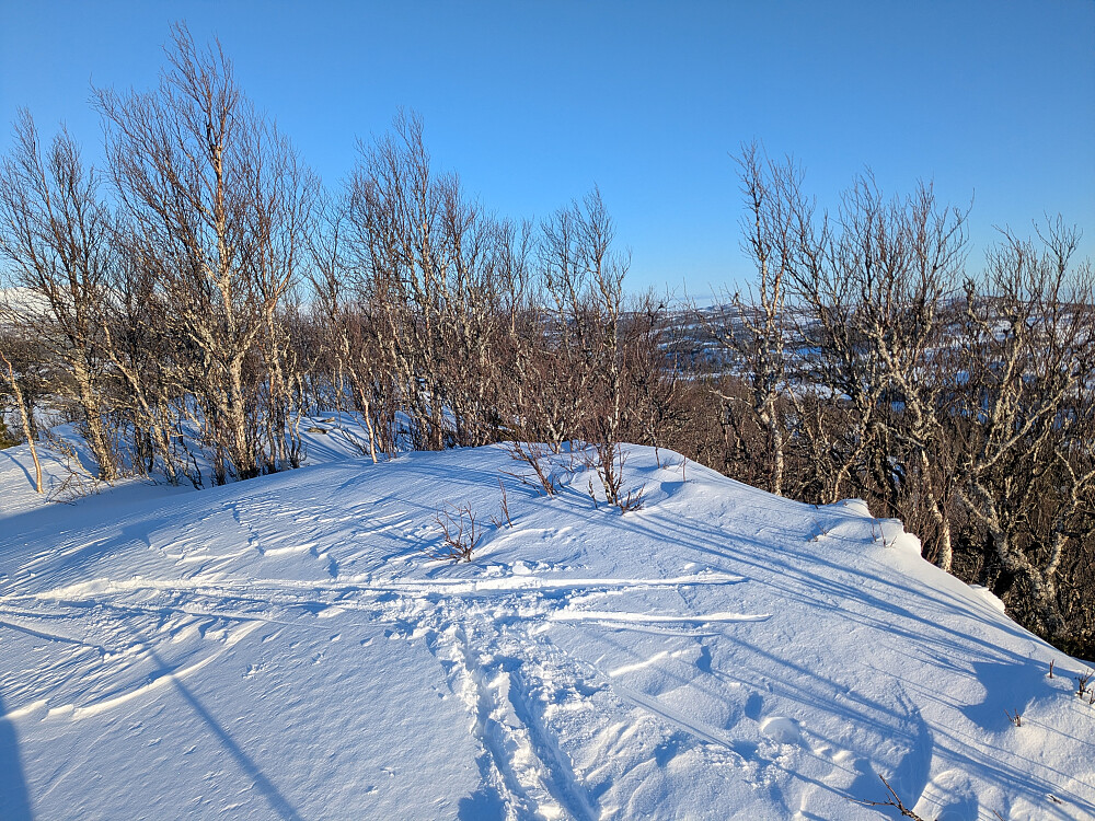 Toppen av Tortjønnklumpen