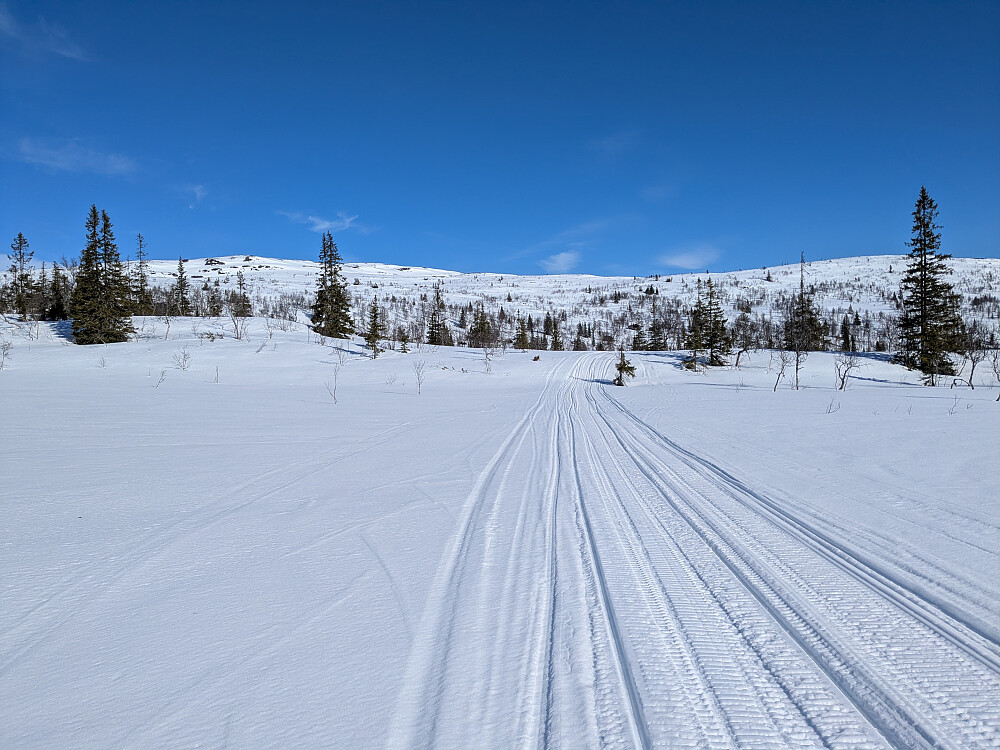 Scooterløype innover mot Gasterfjellet