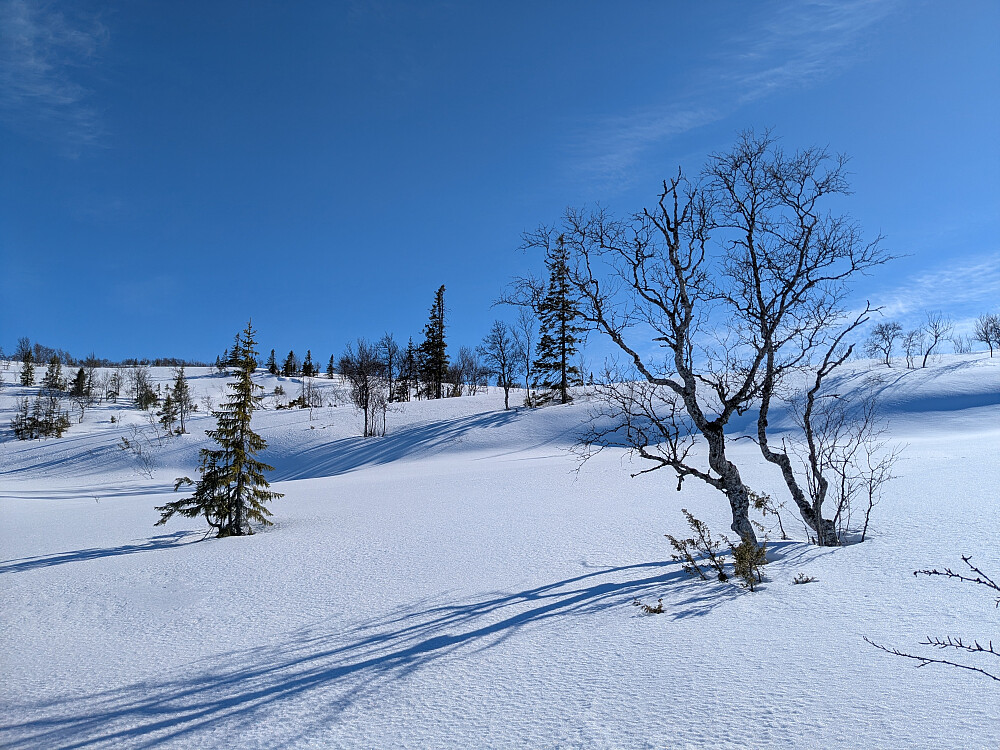 På tur mot Nordre Tissvassklumpen
