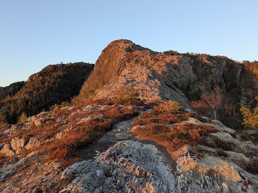 Fjellryggen mot Eiternestinden
