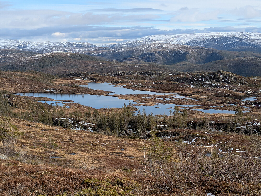 Utsikt mot Lepptindtjønna